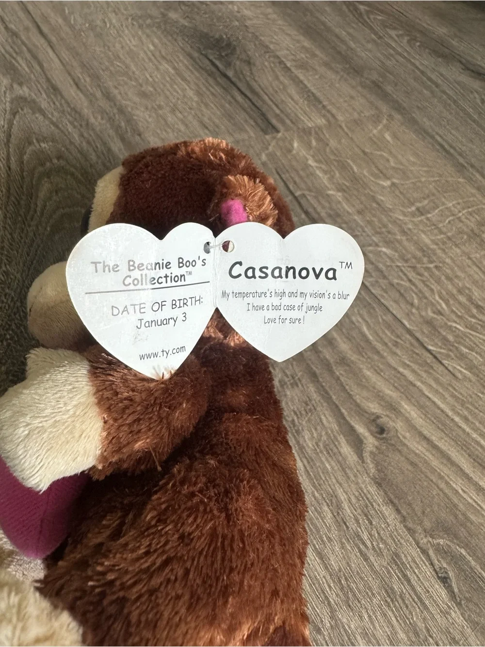 Beanie Boo - Casanova the Monkey with Pink Heart